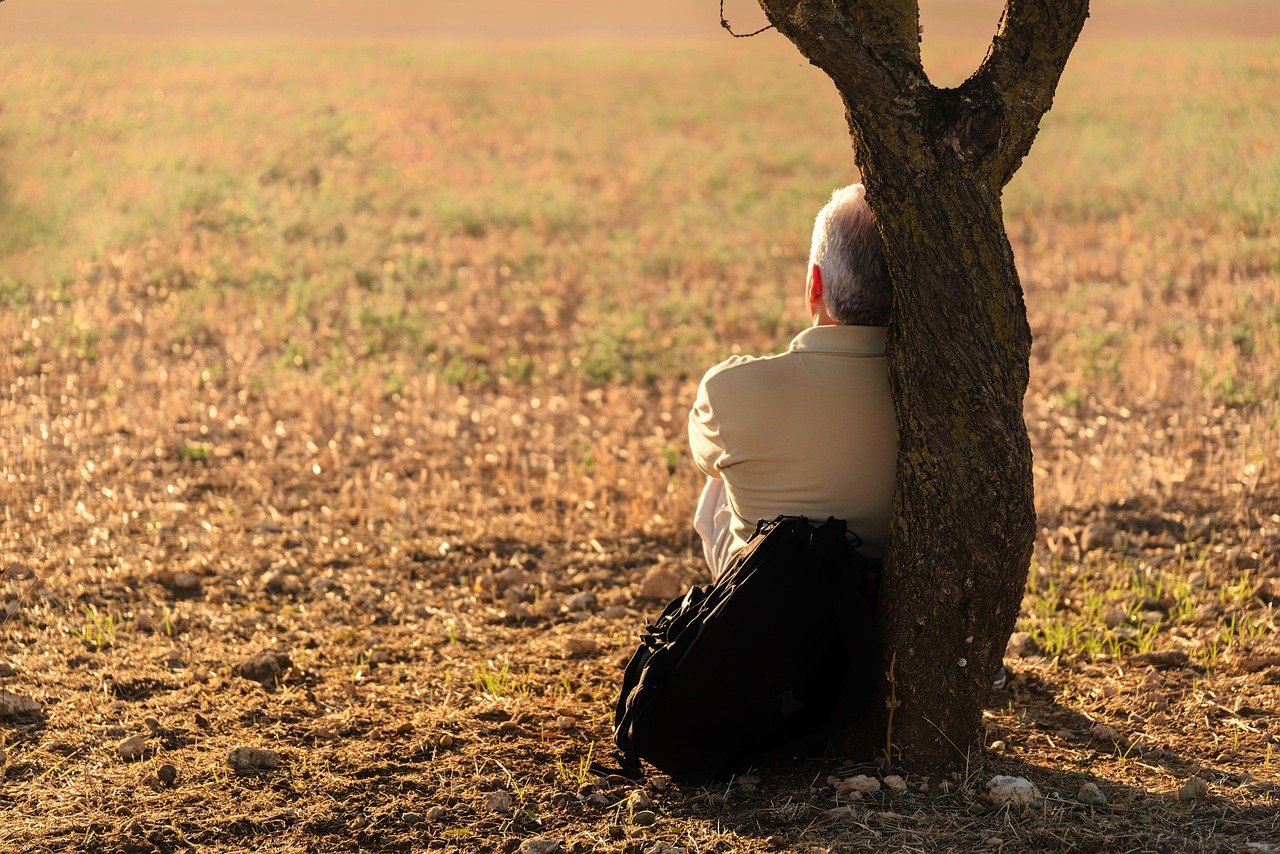 man, solitude, tree, leaning, resting, relax, contemplating, sitting, nature, elderly man, alone, solitary