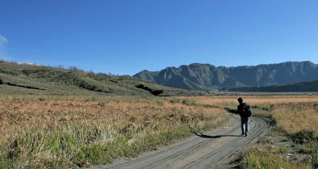 A lone traveler walks on a dirt path through grassy plains with mountains in the background.