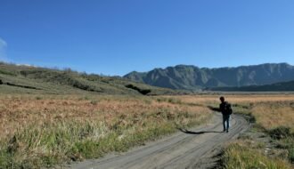 A lone traveler walks on a dirt path through grassy plains with mountains in the background.