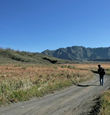 A lone traveler walks on a dirt path through grassy plains with mountains in the background.