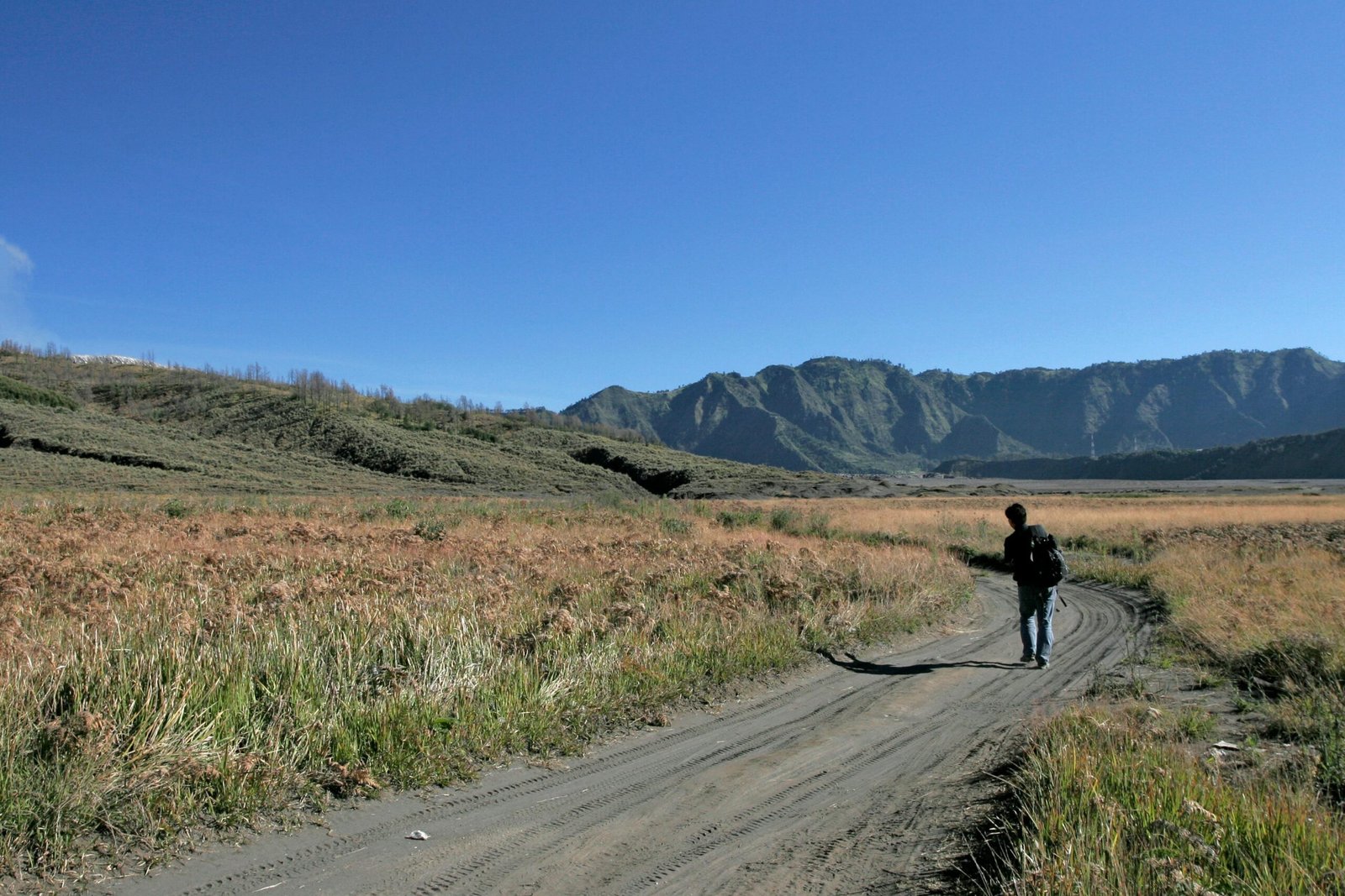 A lone traveler walks on a dirt path through grassy plains with mountains in the background.