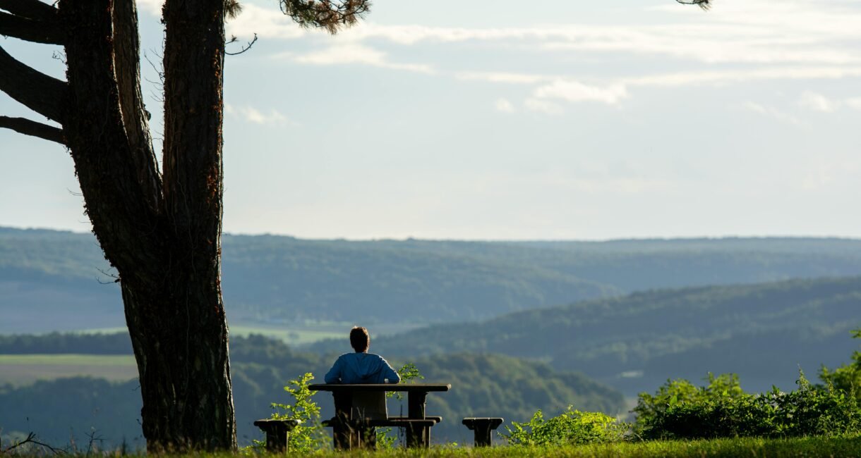 Serene landscape with a person seated at a table under a tree, overlooking rolling hills.