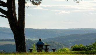 Serene landscape with a person seated at a table under a tree, overlooking rolling hills.