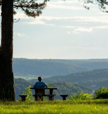Serene landscape with a person seated at a table under a tree, overlooking rolling hills.