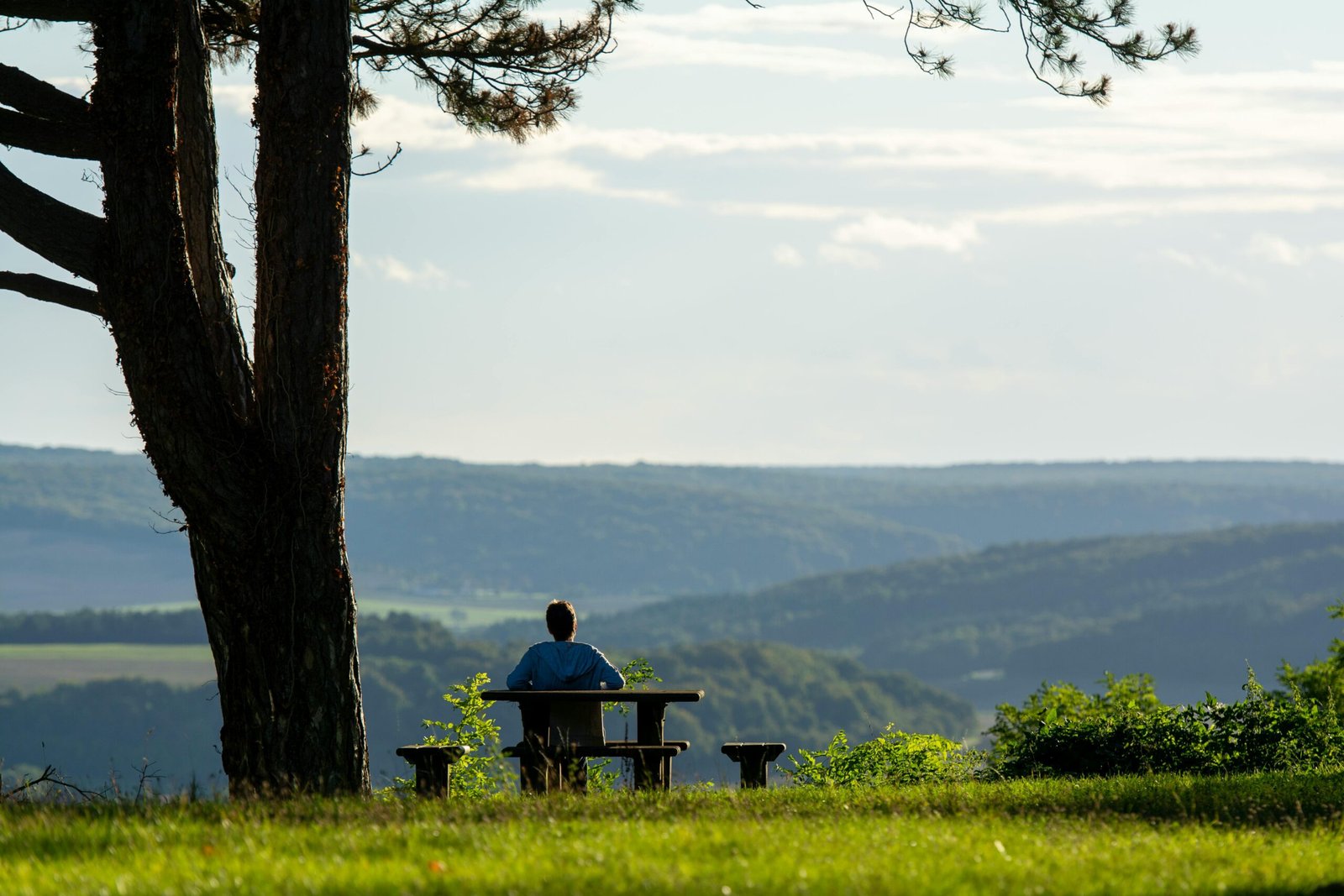 Serene landscape with a person seated at a table under a tree, overlooking rolling hills.